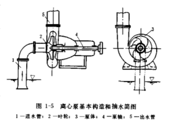 離心泵基本構(gòu)造 離心泵基本構(gòu)造