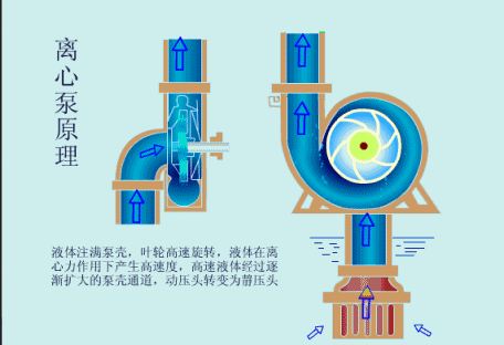 單級(jí)離心泵工作原理 單級(jí)離心泵工作原理