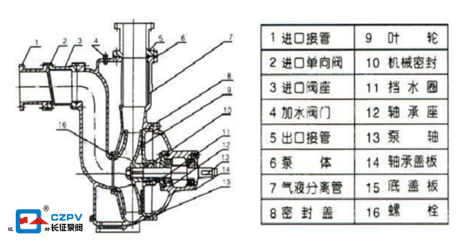 自吸排污泵結(jié)構(gòu)圖 自吸排污泵結(jié)構(gòu)圖
