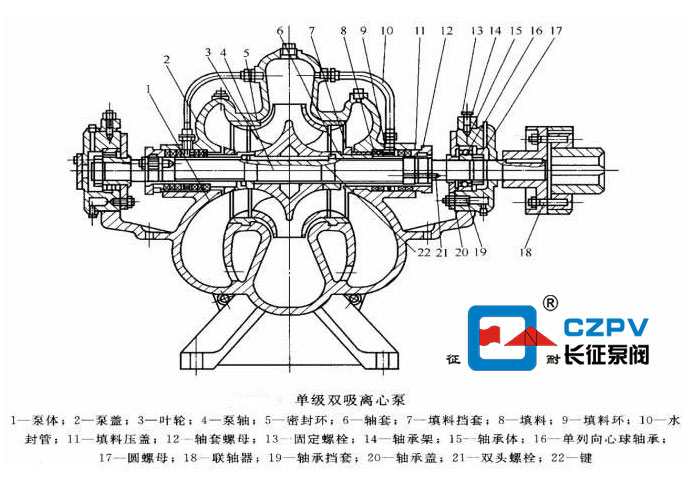 單級雙吸離心泵的結(jié)構(gòu)圖 單級雙吸離心泵的結(jié)構(gòu)圖