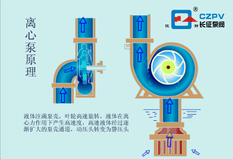 立式管道離心泵的工作原理 立式管道離心泵的工作原理