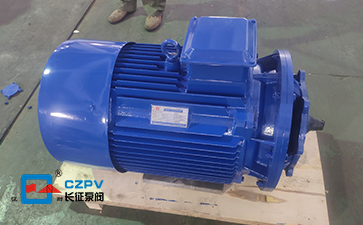 循環(huán)水泵離心泵電機(jī) 循環(huán)水泵離心泵電機(jī)