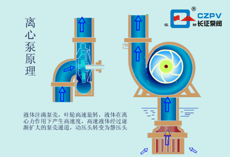 單級離心泵的工作原理 單級離心泵的工作原理