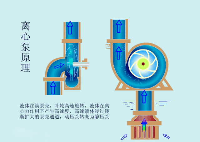 離心泵工作原理 離心泵工作原理