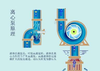 離心泵工作原理圖 離心泵工作原理圖