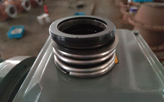 循環(huán)水泵機(jī)械密封圖 循環(huán)水泵機(jī)械密封圖