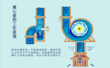 離心泵工作原理動畫 離心泵工作原理動畫